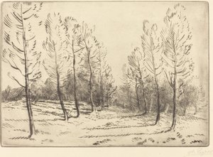 Avenida de álamos de Alphonse Legros