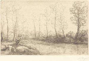 Abedules: Orilla del agua vista a la luz de la mañana de Alphonse Legros