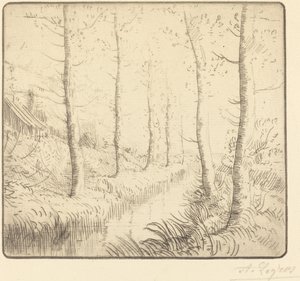 Árboles de abedul junto al agua (Les bouleaux: Bord de l