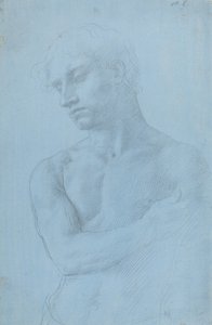 Busto de hombre desnudo de Alphonse Legros