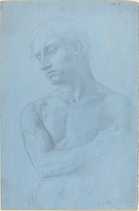 Busto de Hombre Desnudo de Alphonse Legros