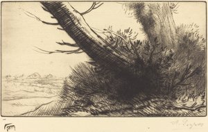 Esquina de un camino de Alphonse Legros