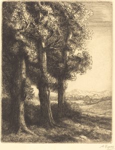 Rincón de un bosque Coin d