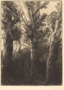 Bosque alemán, Downley de Alphonse Legros