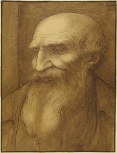 Cabeza de hombre barbudo de Alphonse Legros