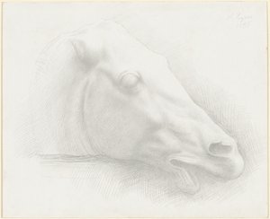 Cabeza de un Caballo del Partenón