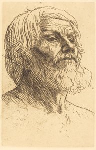 Cabeza de un Hombre de Alphonse Legros