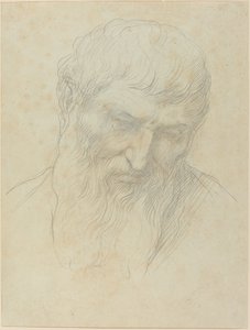 Cabeza de un hombre con cabello rizado y barba de Alphonse Legros