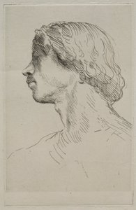 Cabeza de un Modelo de Alphonse Legros