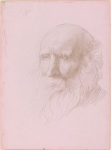 Cabeza de un anciano, 1897 de Alphonse Legros