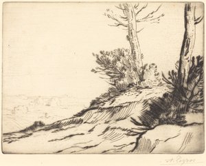 Colina con arbustos de Alphonse Legros