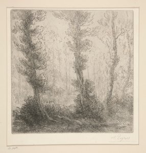 el pequeño lago de Alphonse Legros