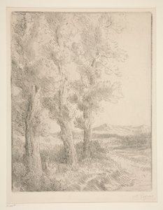 Mujer leyendo: Lección bajo los árboles de Alphonse Legros