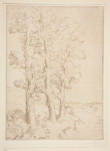 Mujer leyendo: Lección bajo los árboles de Alphonse Legros