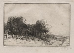 Paisaje