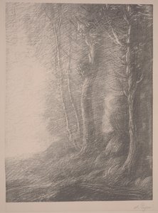 Paisaje