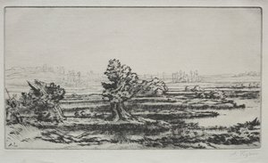 Paisaje de Alphonse Legros