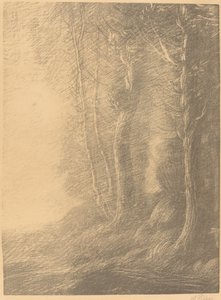 Paisaje