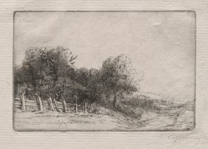 Paisaje Un Paysage