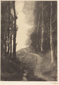Paisaje con abedules