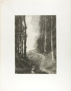 Paisaje con Abedules