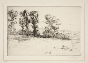 Le pre ensoleille (Pradera bajo el sol) de Alphonse Legros