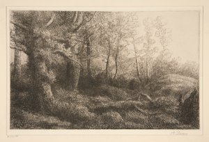 borde del bosque de Alphonse Legros