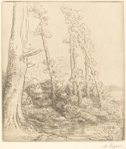 Pequeño estanque de Alphonse Legros