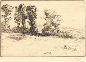 Pradera al sol de Alphonse Legros