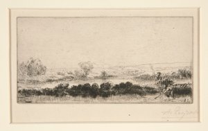 Campo de Tourbières: En las Marismas de Alphonse Legros