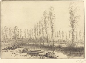 Álamos cerca de Amiens
