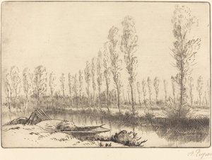 Álamos cerca de Amiens de Alphonse Legros