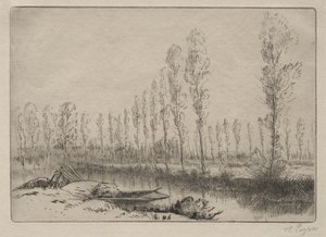Cerca de Amiens, las Turberas
