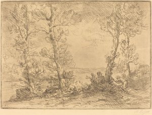 El pescador de salmón de Alphonse Legros