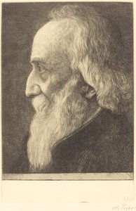 Autorretrato, 13ª placa de Alphonse Legros
