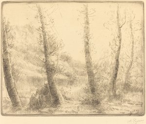 Lago pequeño de Alphonse Legros