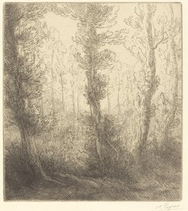 Pequeño lago (Le petit lac) de Alphonse Legros