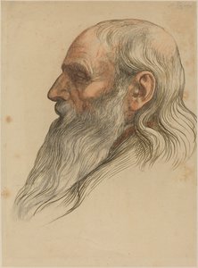 Estudio de la cabeza de un hombre con barba completa de Alphonse Legros