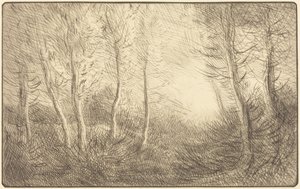 Amanecer, bosques de Clamard