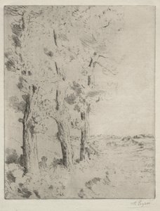 El lector: La conferencia bajo los árboles, c. 1882 de Alphonse Legros