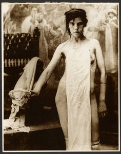 [Modelo femenina desnuda cubierta con tela]