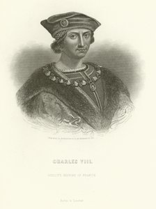 Carlos VIII de Alphonse Marie de Neuville
