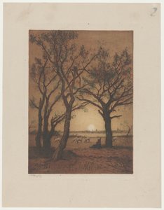Paisaje con ovejas al atardecer
Paisaje nocturno con ovejas en Drente de Alphonse Stengelin (signed by artist)
