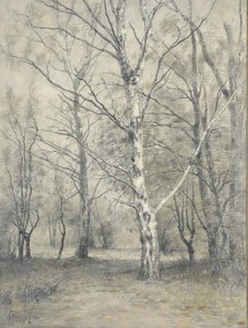 Bosque con abedules de Alphonse Stengelin
