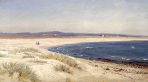 Noruego:  Mennesker på en strand Gente en la playa de Amaldus Nielsen