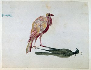 Un pájaro