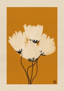 Amapolas minimalistas y cálidas de Amaze Atelier