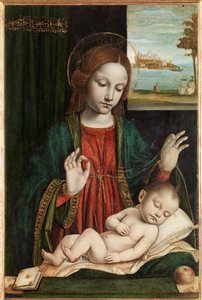 Madonna y Niño Dormido (Madonna del Velo)