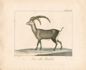  de Ambrosius Gabler