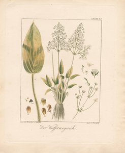  de Ambrosius Gabler
